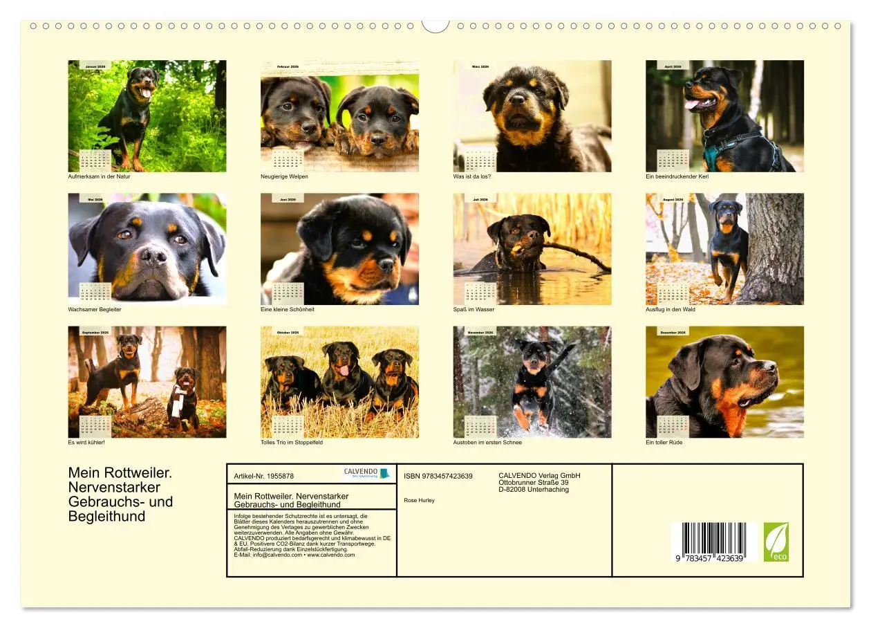 Bild: 9783457423639 | Mein Rottweiler. Nervenstarker Gebrauchs- und Begleithund...