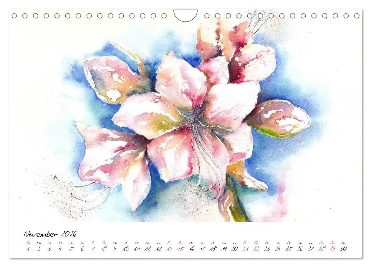Bild: 9783457973639 | Blumen Blüten Aquarelle (Wandkalender 2026 DIN A4 quer), CALVENDO...