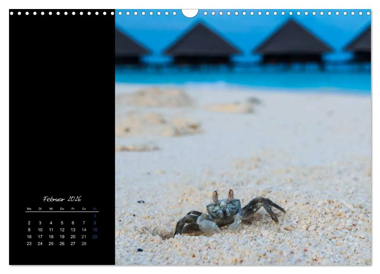 Bild: 9783516133639 | Malediven - dem Himmel so nah (Wandkalender 2026 DIN A3 quer),...