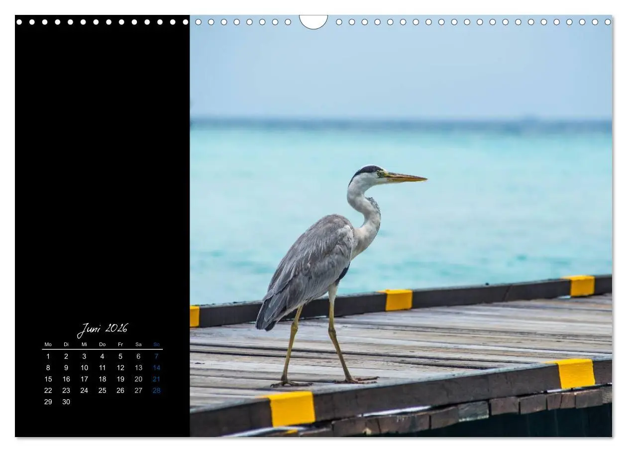Bild: 9783516133639 | Malediven - dem Himmel so nah (Wandkalender 2026 DIN A3 quer),...