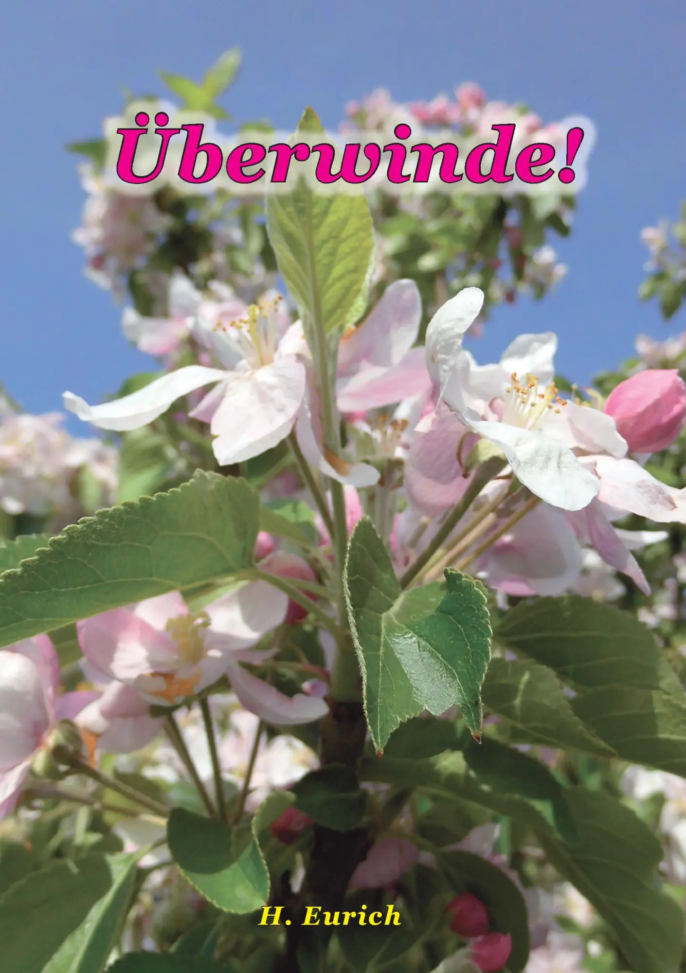 Cover: 9783741243639 | Überwinde | Harry Eurich | Taschenbuch | 300 S. | Deutsch | 2016