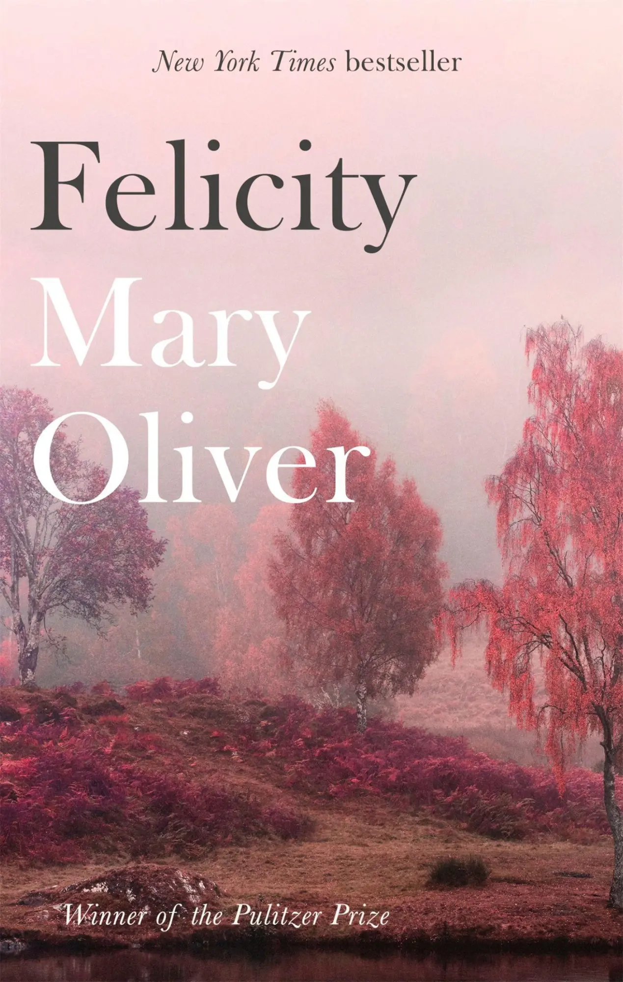 Cover: 9781472153739 | Felicity | Mary Oliver | Taschenbuch | 96 S. | Englisch | 2018