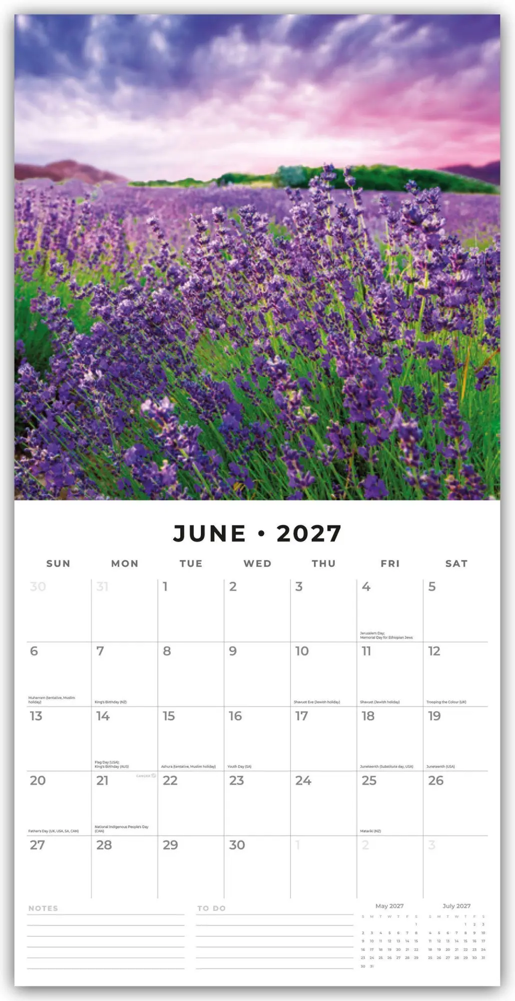 Bild: 9781837013739 | Lavender - Lavendel 2027 - 16-Monatskalender | Robin Red | Kalender