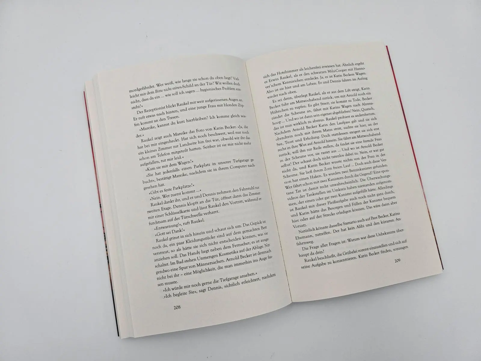 Bild: 9783492063739 | Deine Welt wird brennen | Susanne Mischke | Taschenbuch | 304 S.