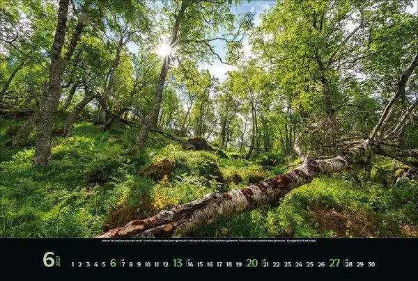 Bild: 9783819303739 | Reiselust Norwegen 2027 | Verlag Korsch | Kalender | 14 S. | Deutsch