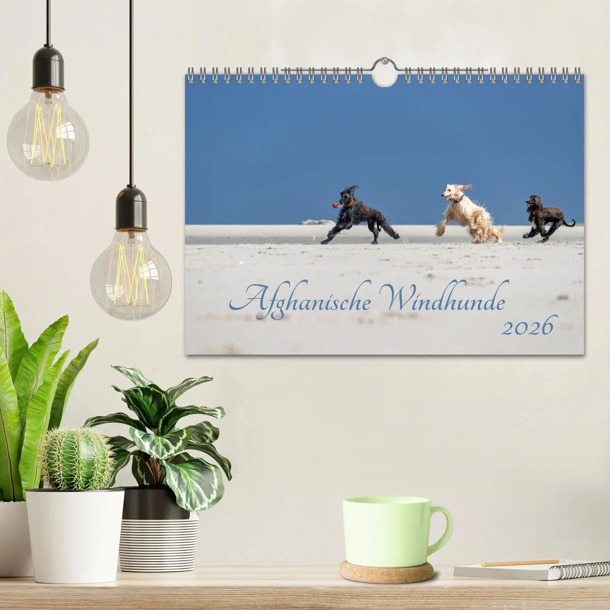 Bild: 9783457883839 | AFGHANISCHE WINDHUNDE 2026 (Wandkalender 2026 DIN A4 quer),...
