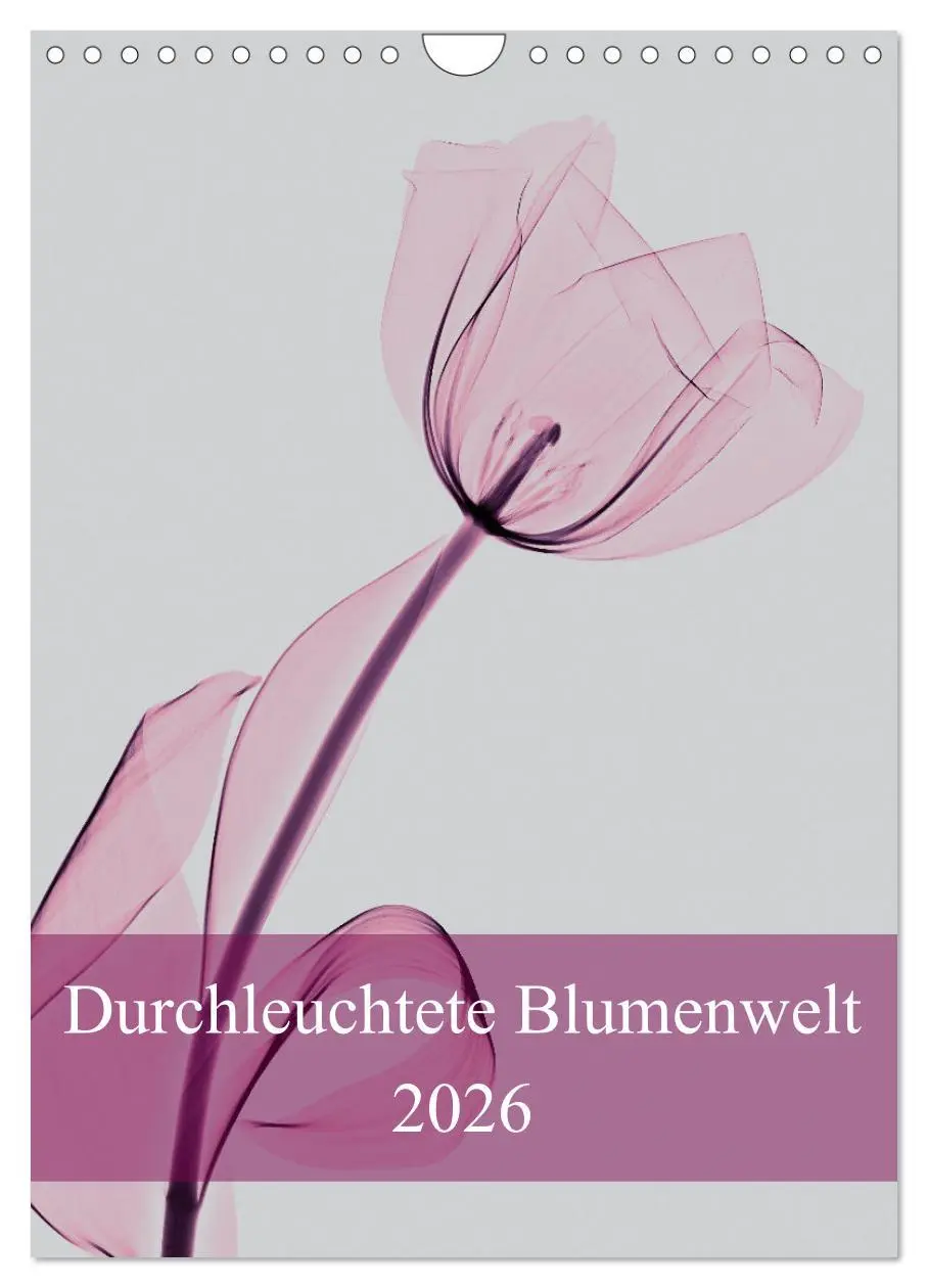 Cover: 9783516343939 | Durchleuchtete Blumenwelt 2026 (Wandkalender 2026 DIN A4 hoch),...
