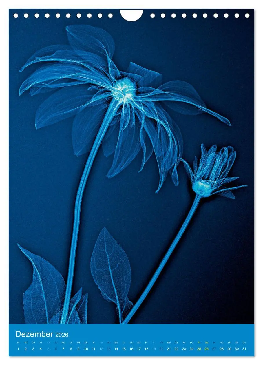 Bild: 9783516343939 | Durchleuchtete Blumenwelt 2026 (Wandkalender 2026 DIN A4 hoch),...