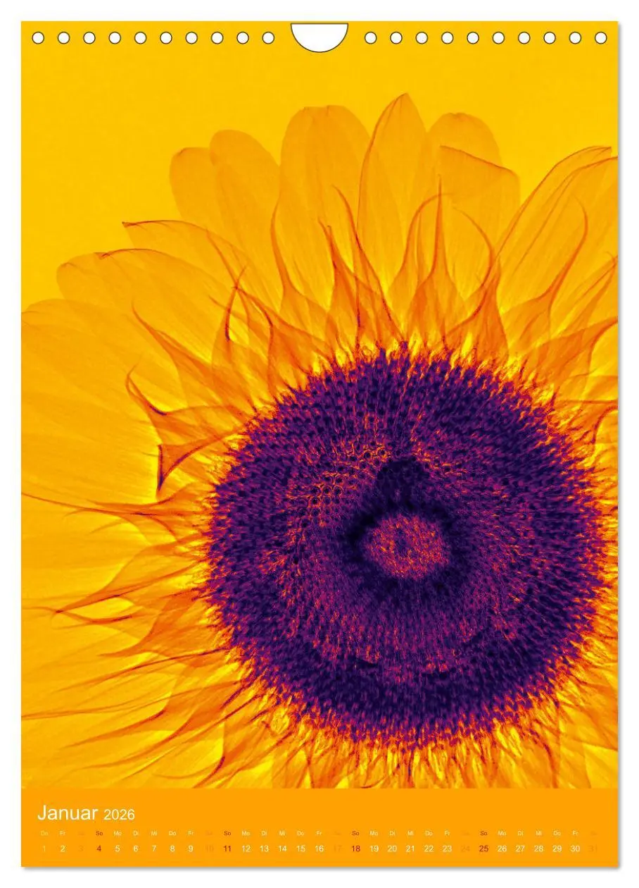 Bild: 9783516343939 | Durchleuchtete Blumenwelt 2026 (Wandkalender 2026 DIN A4 hoch),...