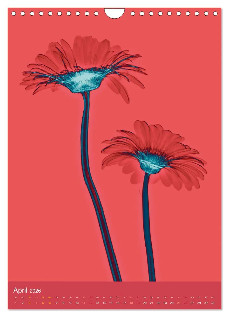 Bild: 9783516343939 | Durchleuchtete Blumenwelt 2026 (Wandkalender 2026 DIN A4 hoch),...
