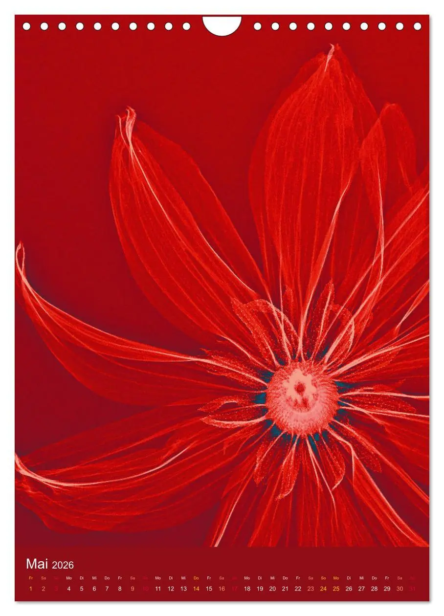 Bild: 9783516343939 | Durchleuchtete Blumenwelt 2026 (Wandkalender 2026 DIN A4 hoch),...