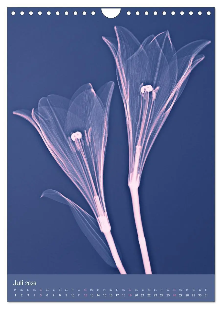 Bild: 9783516343939 | Durchleuchtete Blumenwelt 2026 (Wandkalender 2026 DIN A4 hoch),...