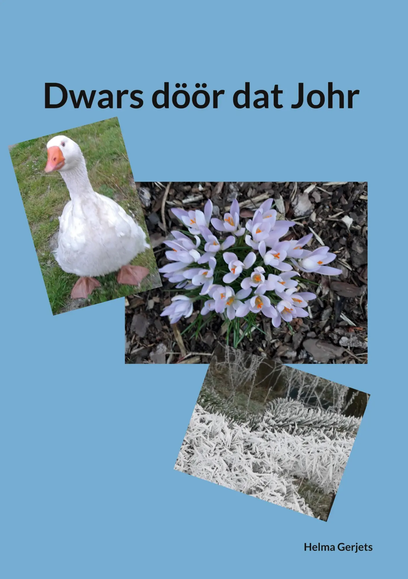 Cover: 9783756233939 | Dwars döör dat Johr | Helma Gerjets | Taschenbuch | Paperback | 112 S.