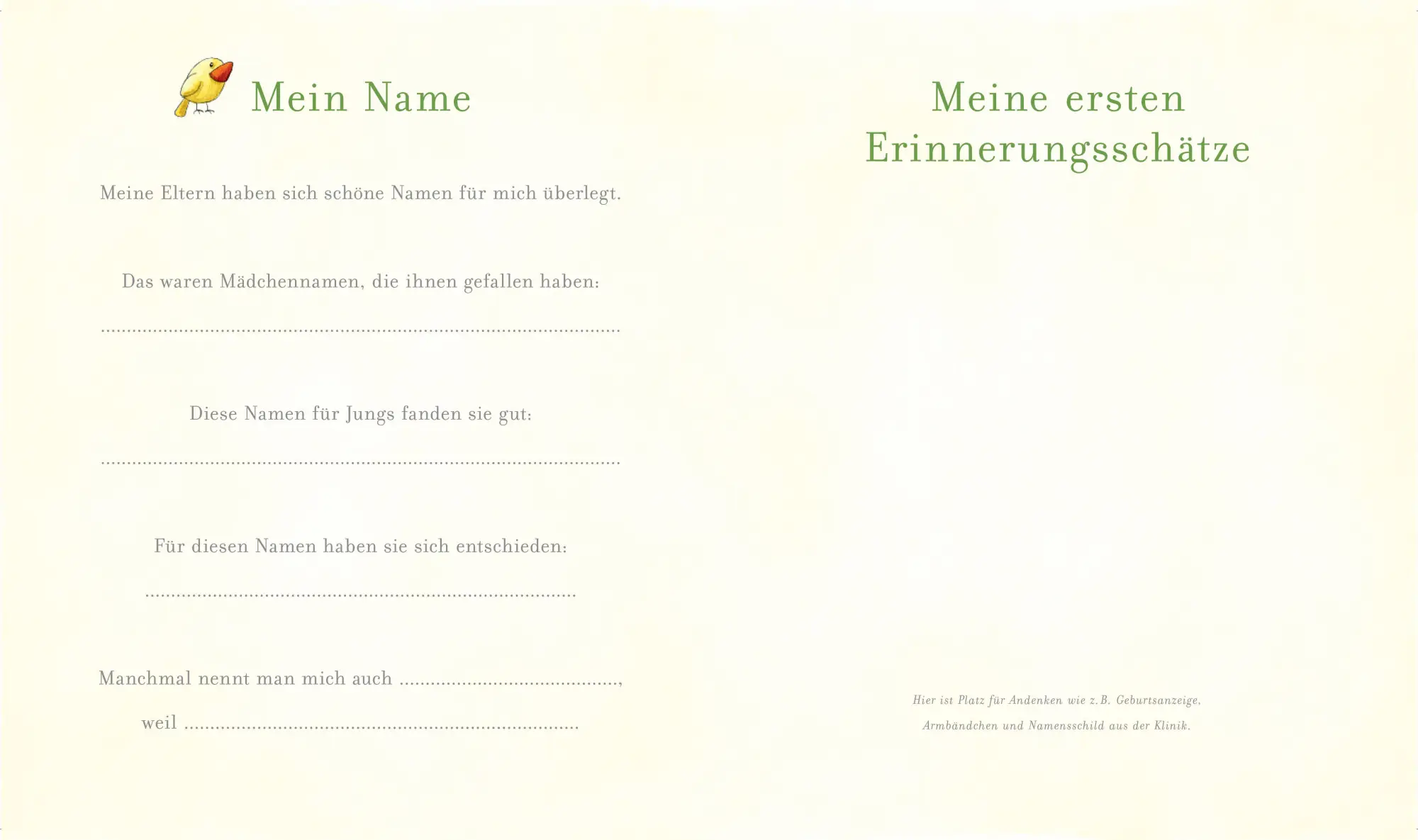 Bild: 9783833903939 | Die kleine Spinne Widerlich. Mein Babyalbum | Diana Amft | Buch | 2016