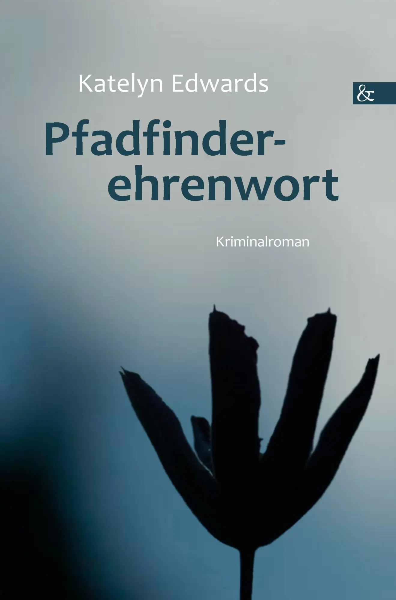 Cover: 9783865203939 | Pfadfinderehrenwort | Kriminalroman | Katelyn Edwards | Taschenbuch