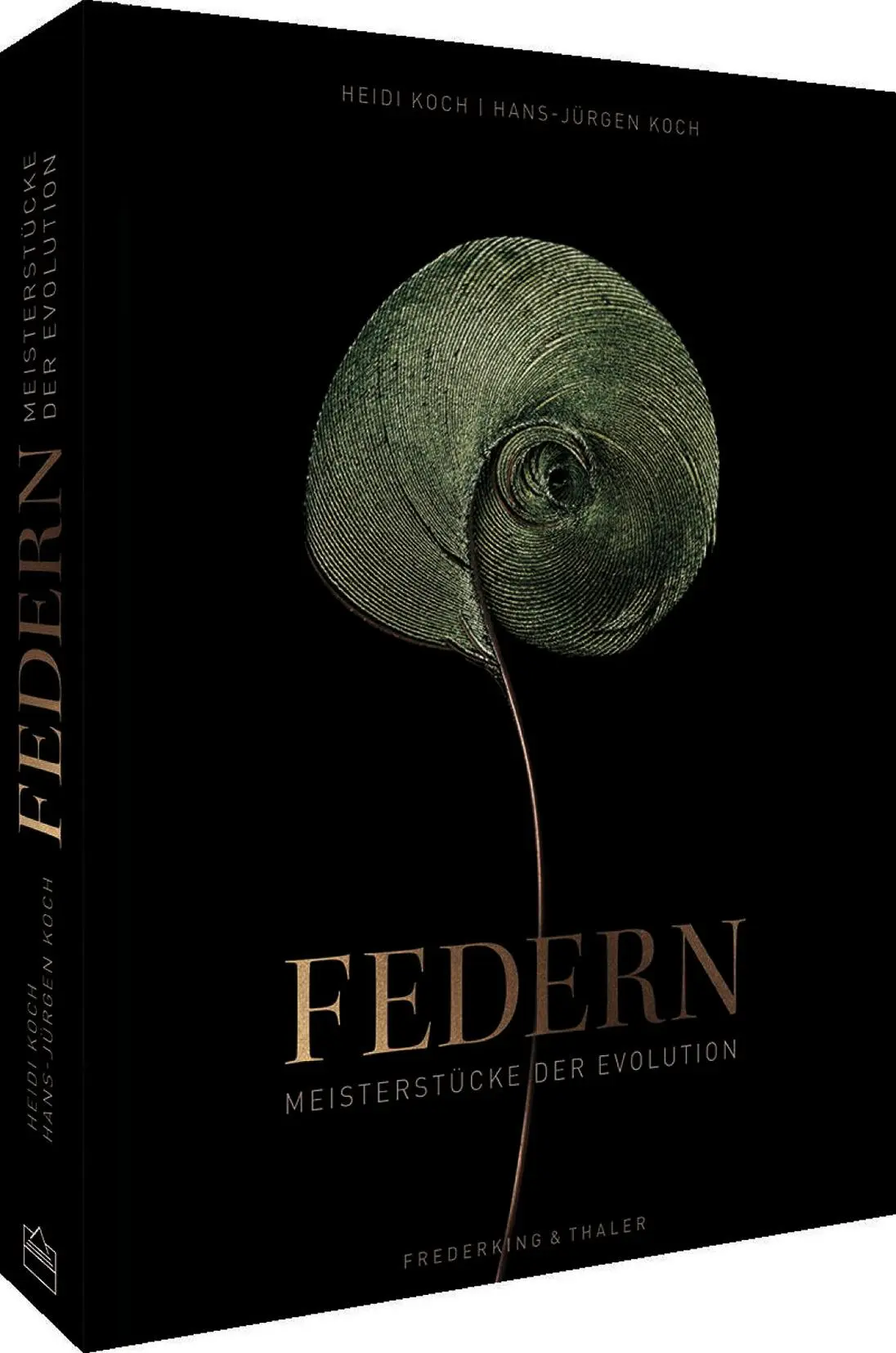 Cover: 9783954163939 | Federn | Meisterstücke der Evolution | Hans-Jürgen Koch | Buch | 2023