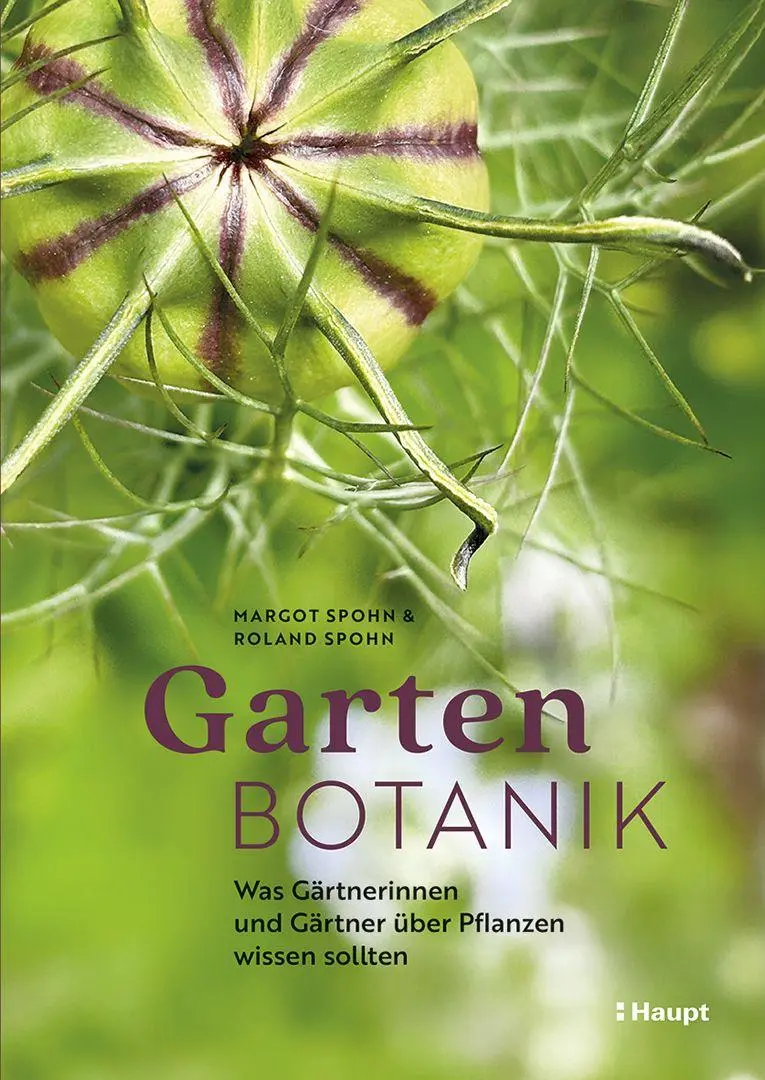 Cover: 9783258084039 | Gartenbotanik | Margot Spohn (u. a.) | Buch | 224 S. | Deutsch | 2026