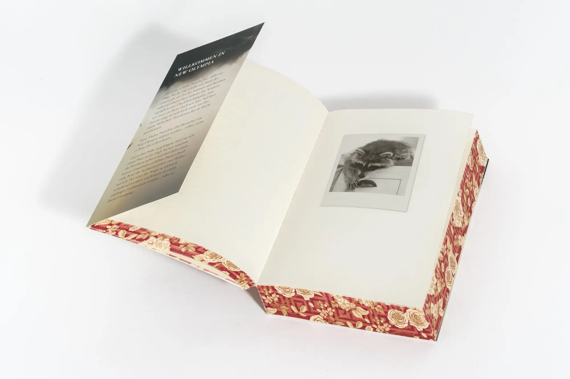 Bild: 9783453324039 | Gilded Ruin - Gods of New Olympia | Emily Bähr | Taschenbuch | 576 S.