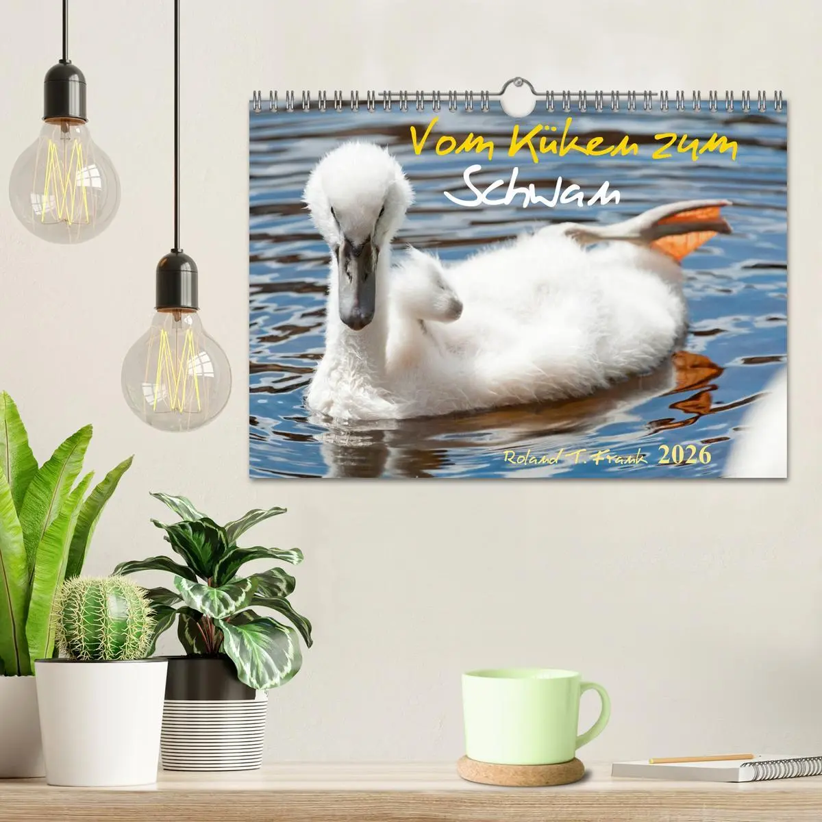 Bild: 9783516094039 | Vom Küken zum Schwan (Wandkalender 2026 DIN A4 quer), CALVENDO...