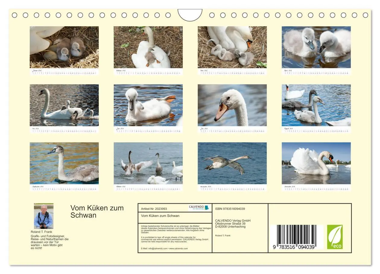 Bild: 9783516094039 | Vom Küken zum Schwan (Wandkalender 2026 DIN A4 quer), CALVENDO...