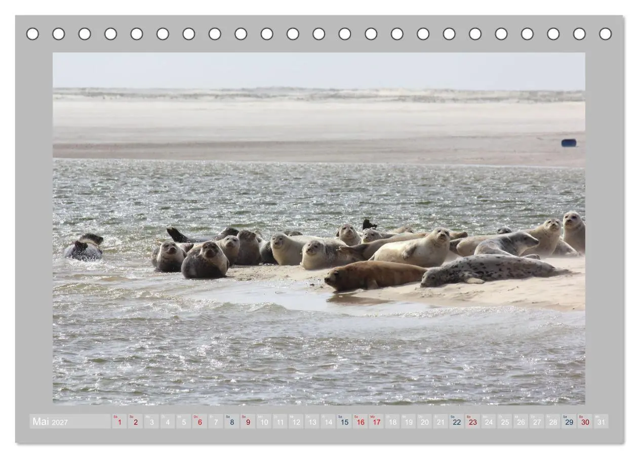 Bild: 9783569494039 | Juist - Kleine Insel, Große Freiheit (Tischkalender 2027 DIN A5...