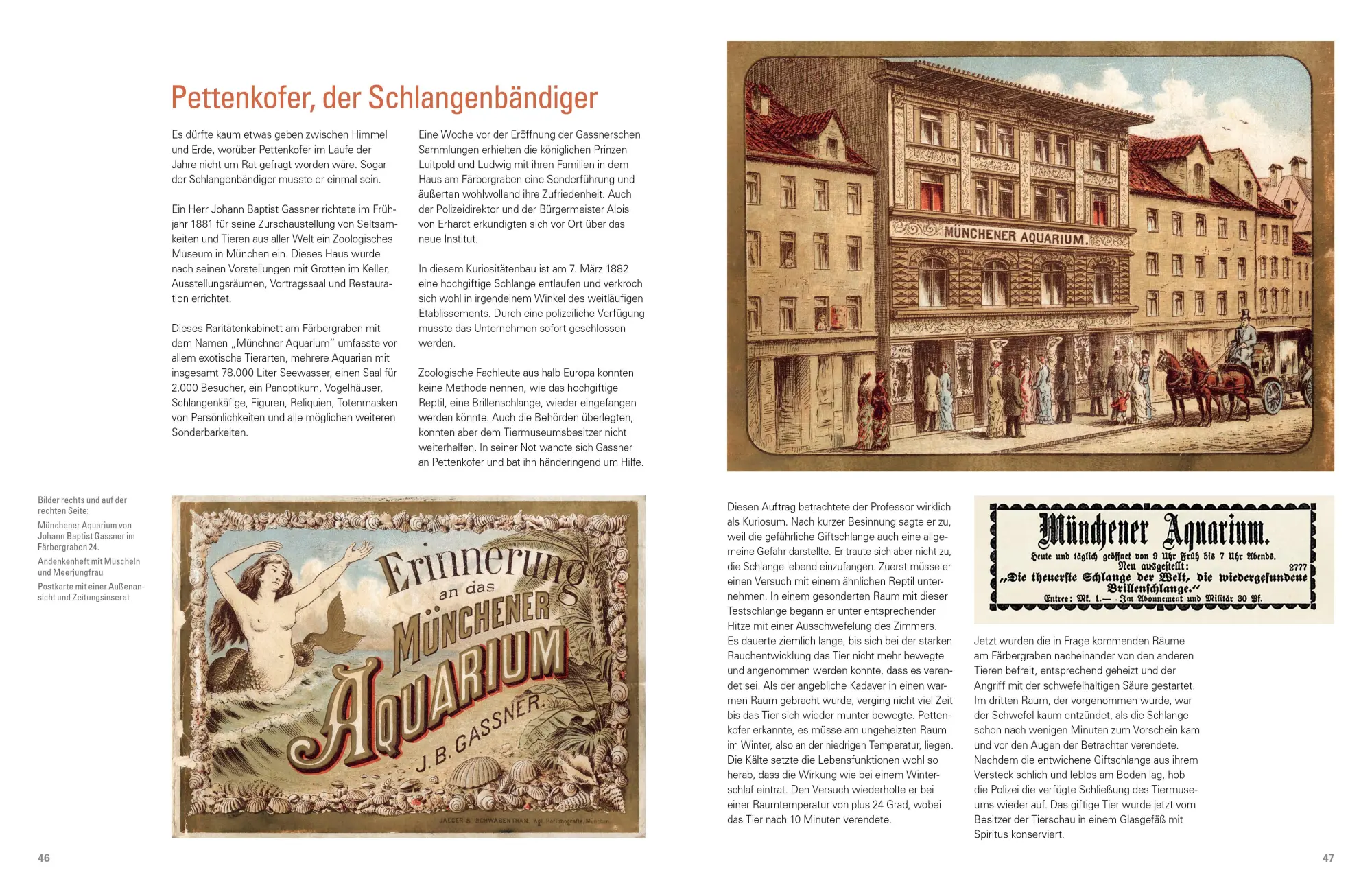 Bild: 9783948974039 | Meine Verehrung Exzellenz ! | Ben Tax | Buch | Deutsch | 2021