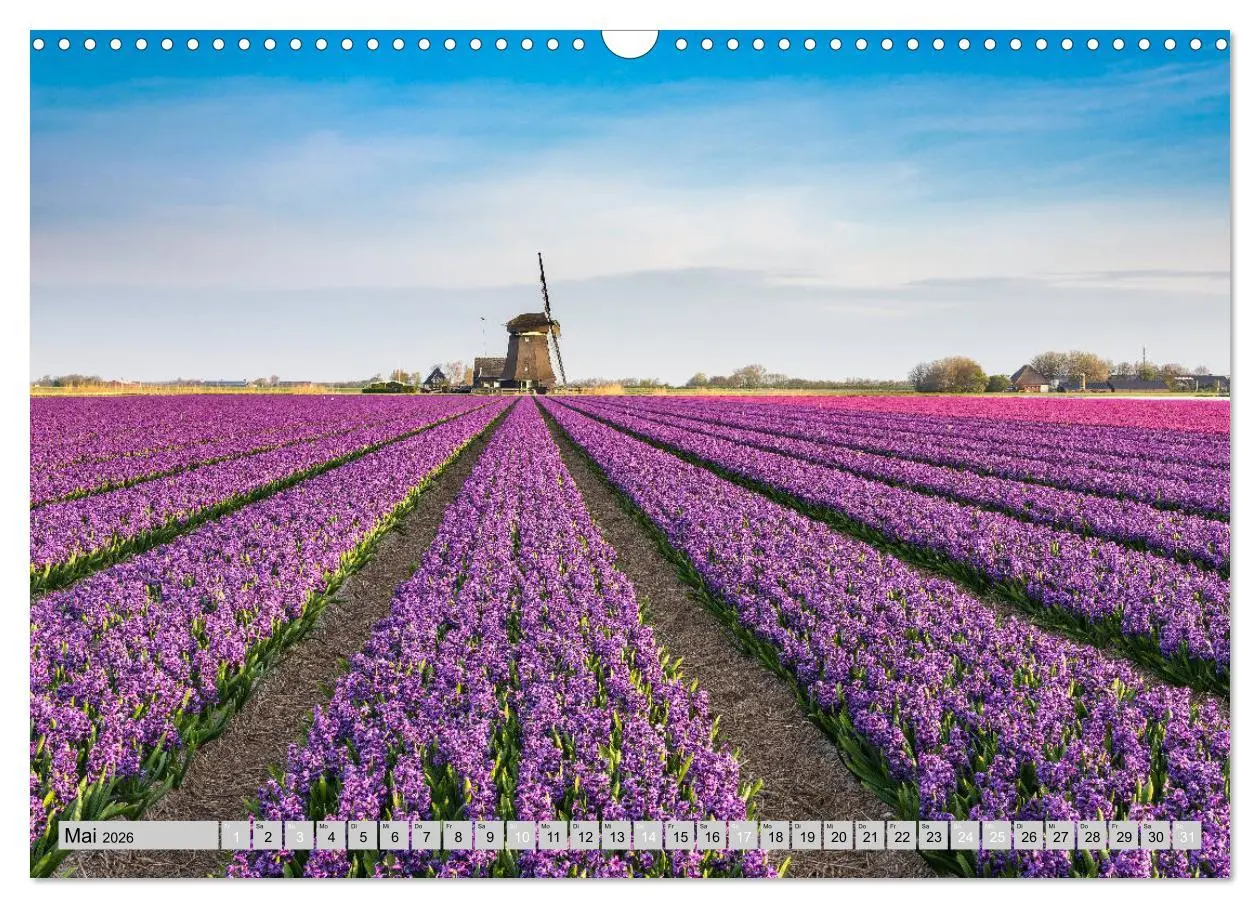 Bild: 9783457684139 | Wunderschöne Niederlande (Wandkalender 2026 DIN A3 quer), CALVENDO...