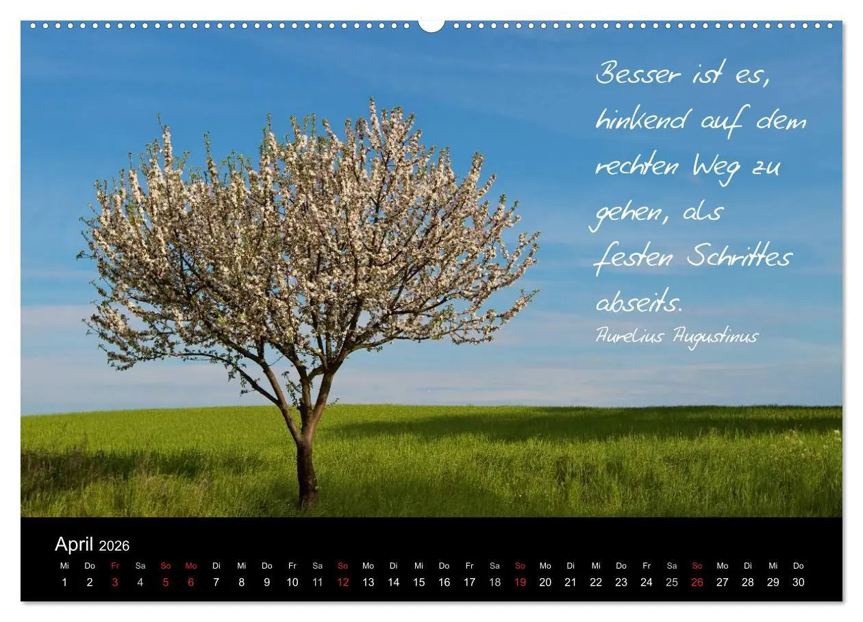 Bild: 9783516154139 | Poetische Wege (Wandkalender 2026 DIN A2 quer), CALVENDO...