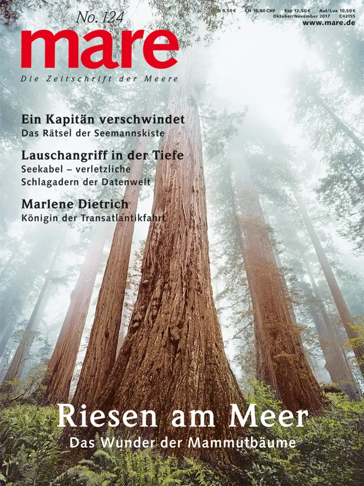 Cover: 9783866484139 | Bäume | Riesen am Meer. Das Wunder der Mammutbäume | Gelpke | Buch
