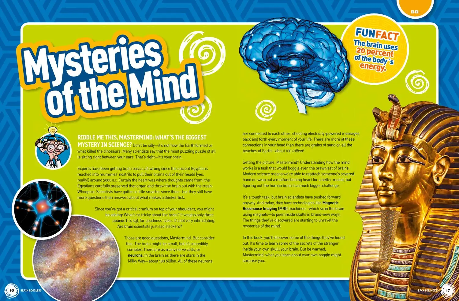 Bild: 9781426324239 | Brain Bogglers | National Geographic Kids (u. a.) | Taschenbuch | 2017