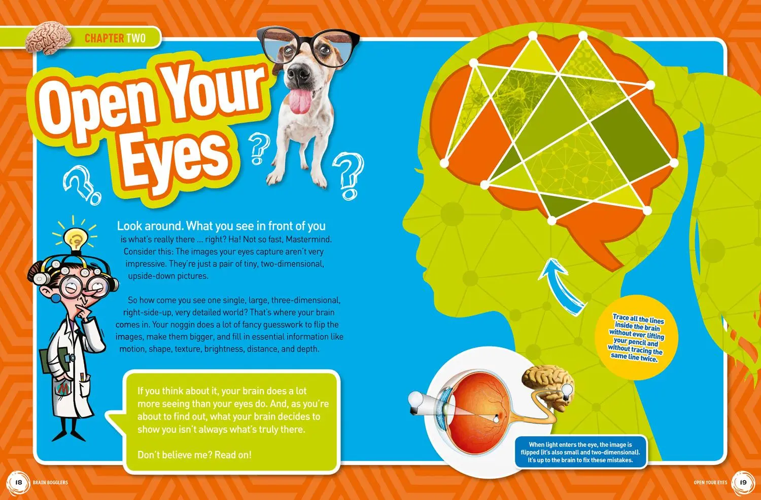 Bild: 9781426324239 | Brain Bogglers | National Geographic Kids (u. a.) | Taschenbuch | 2017
