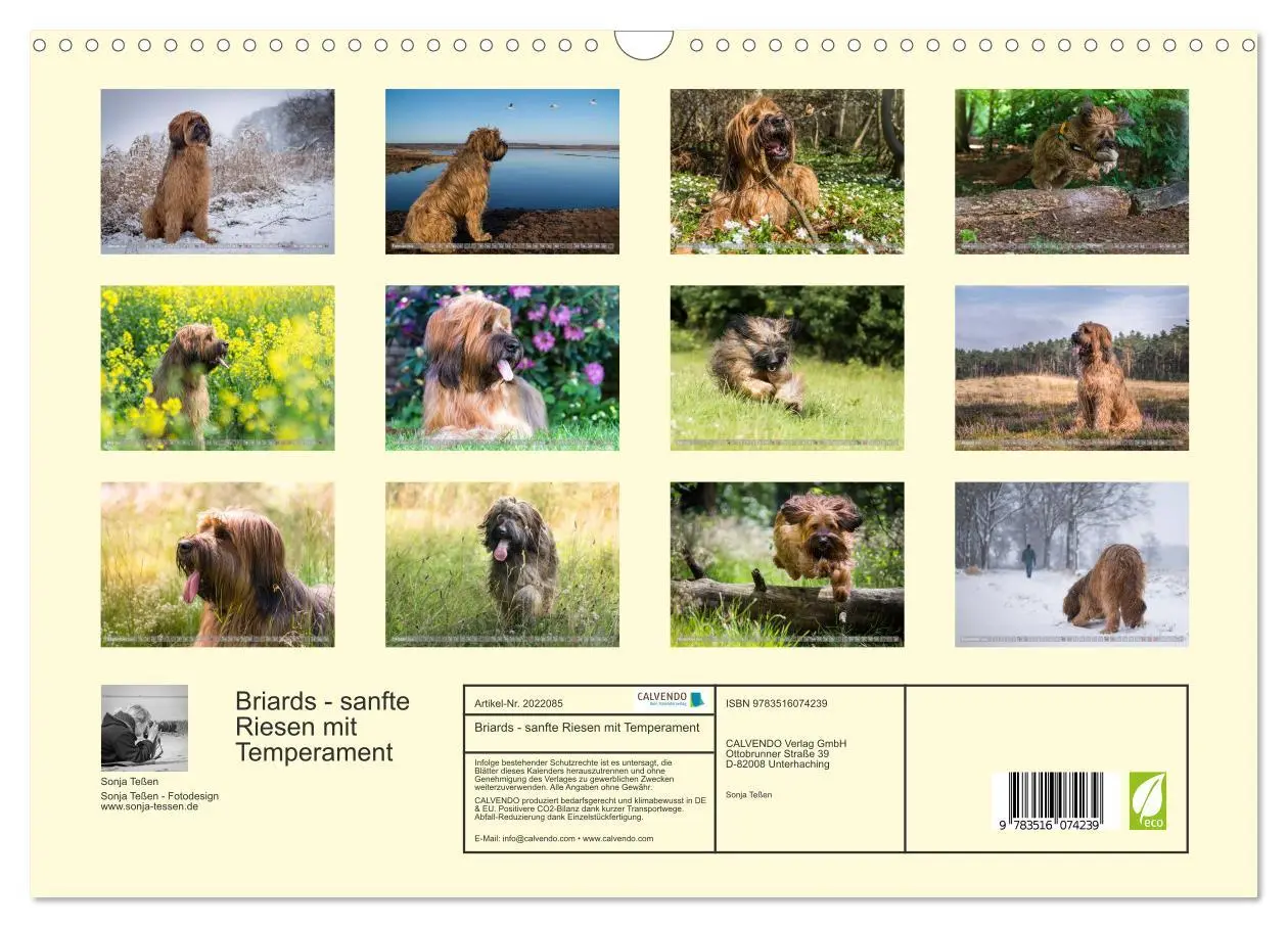 Bild: 9783516074239 | Briards - sanfte Riesen mit Temperament (Wandkalender 2026 DIN A3...