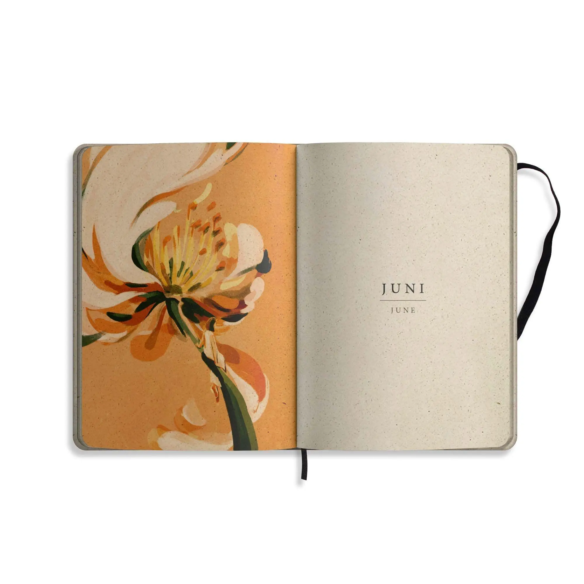 Bild: 4260626414339 | matabooks - A5 Kalender Samaya 2027 Farbe: Pond Green (DE/EN) | Buch