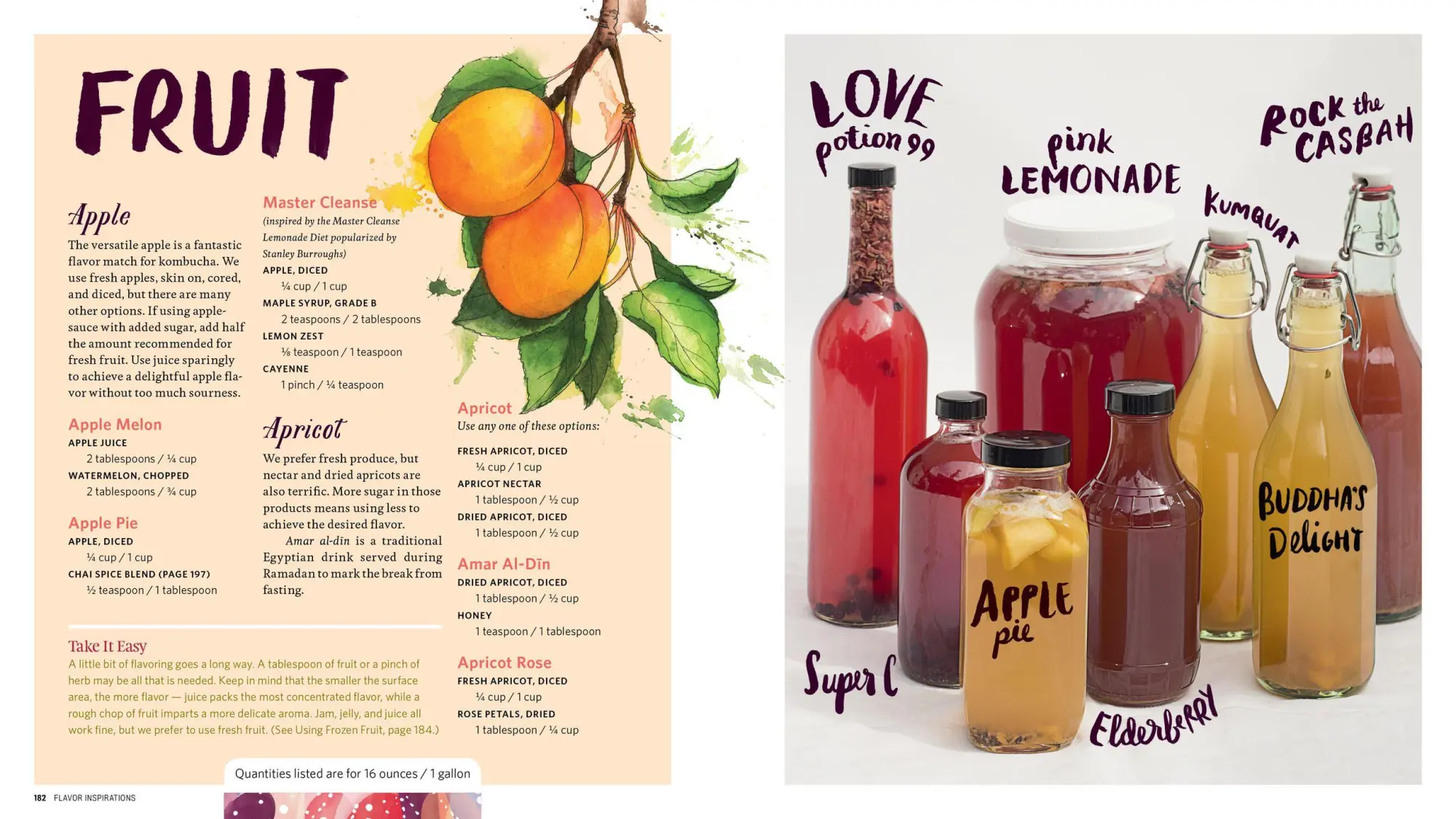 Bild: 9781612124339 | The Big Book of Kombucha | Hannah Crum (u. a.) | Taschenbuch | 2016