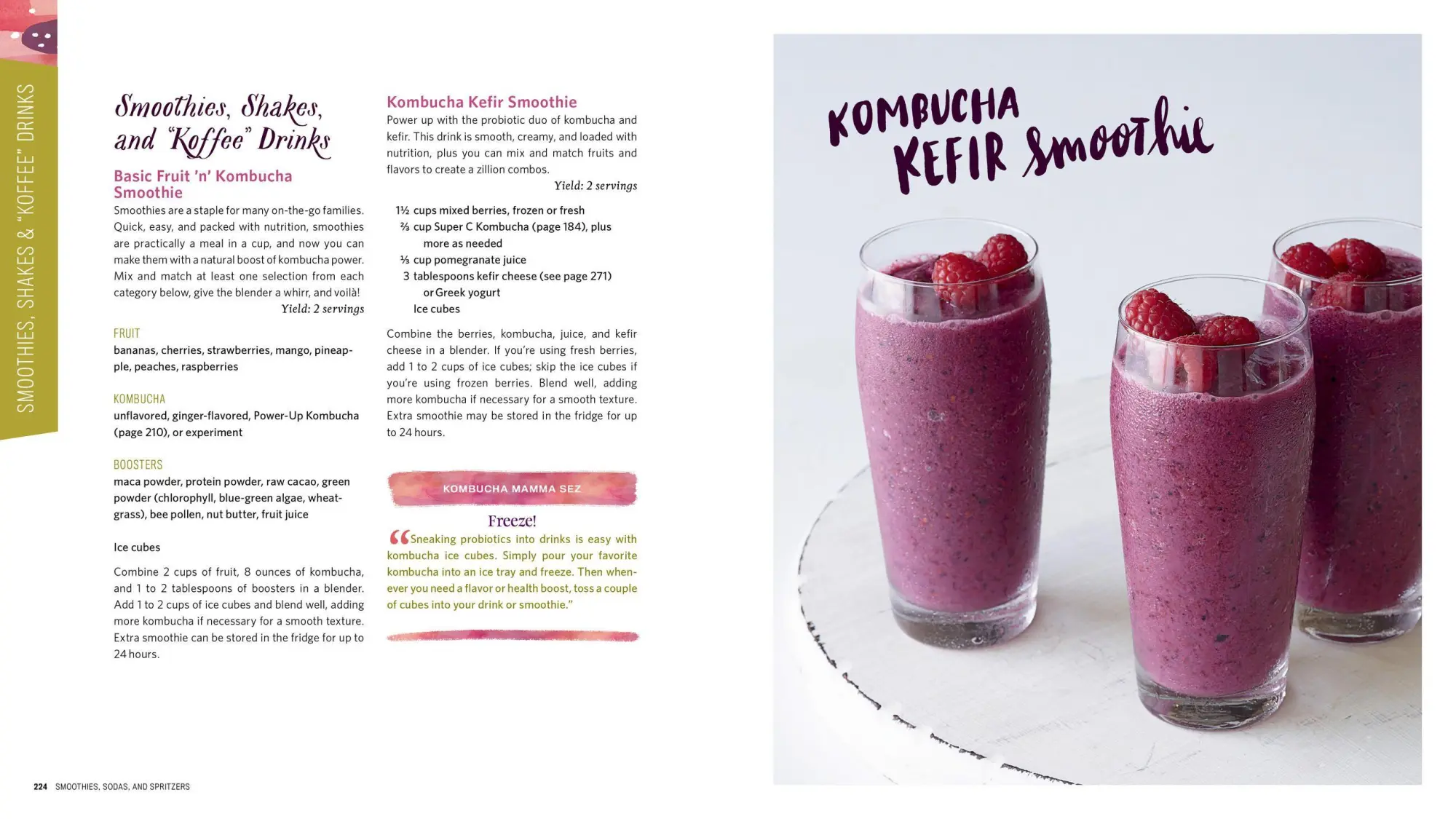 Bild: 9781612124339 | The Big Book of Kombucha | Hannah Crum (u. a.) | Taschenbuch | 2016