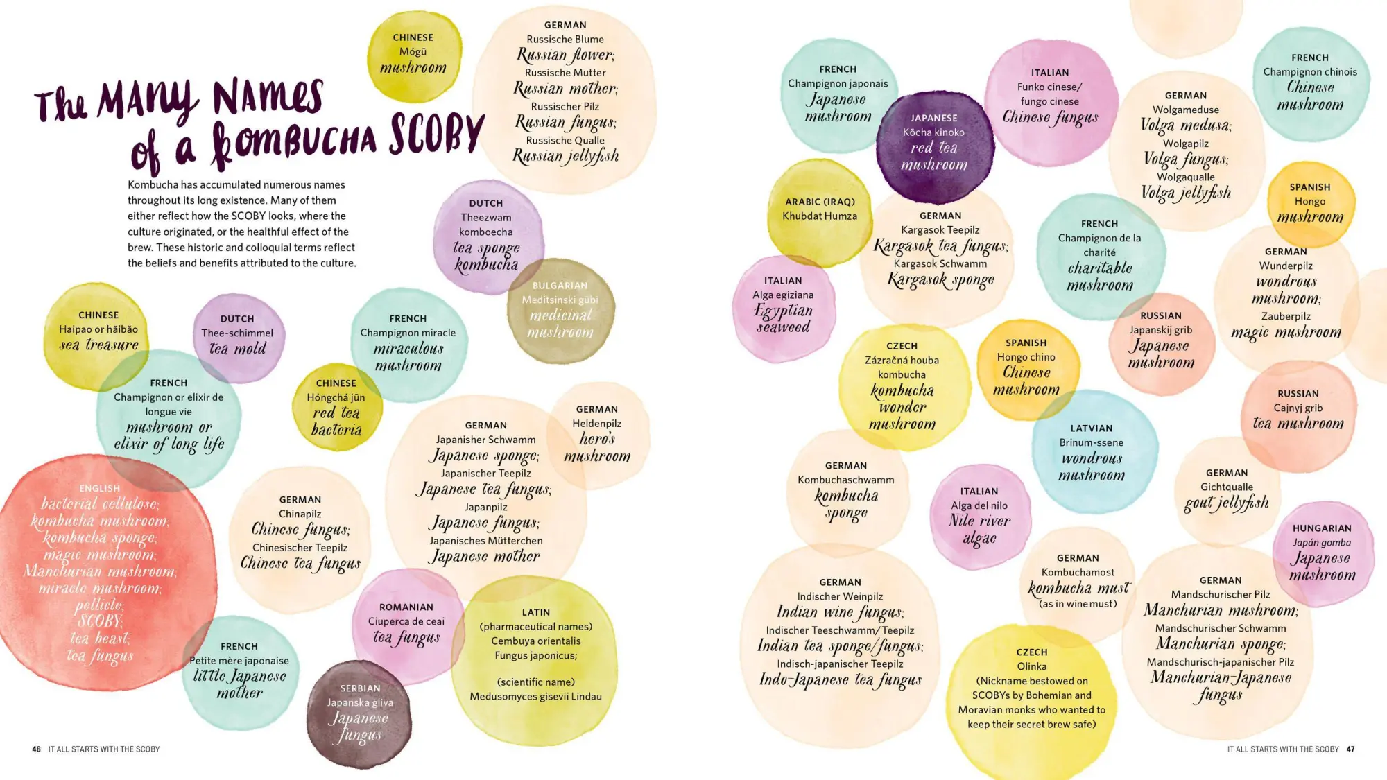 Bild: 9781612124339 | The Big Book of Kombucha | Hannah Crum (u. a.) | Taschenbuch | 2016