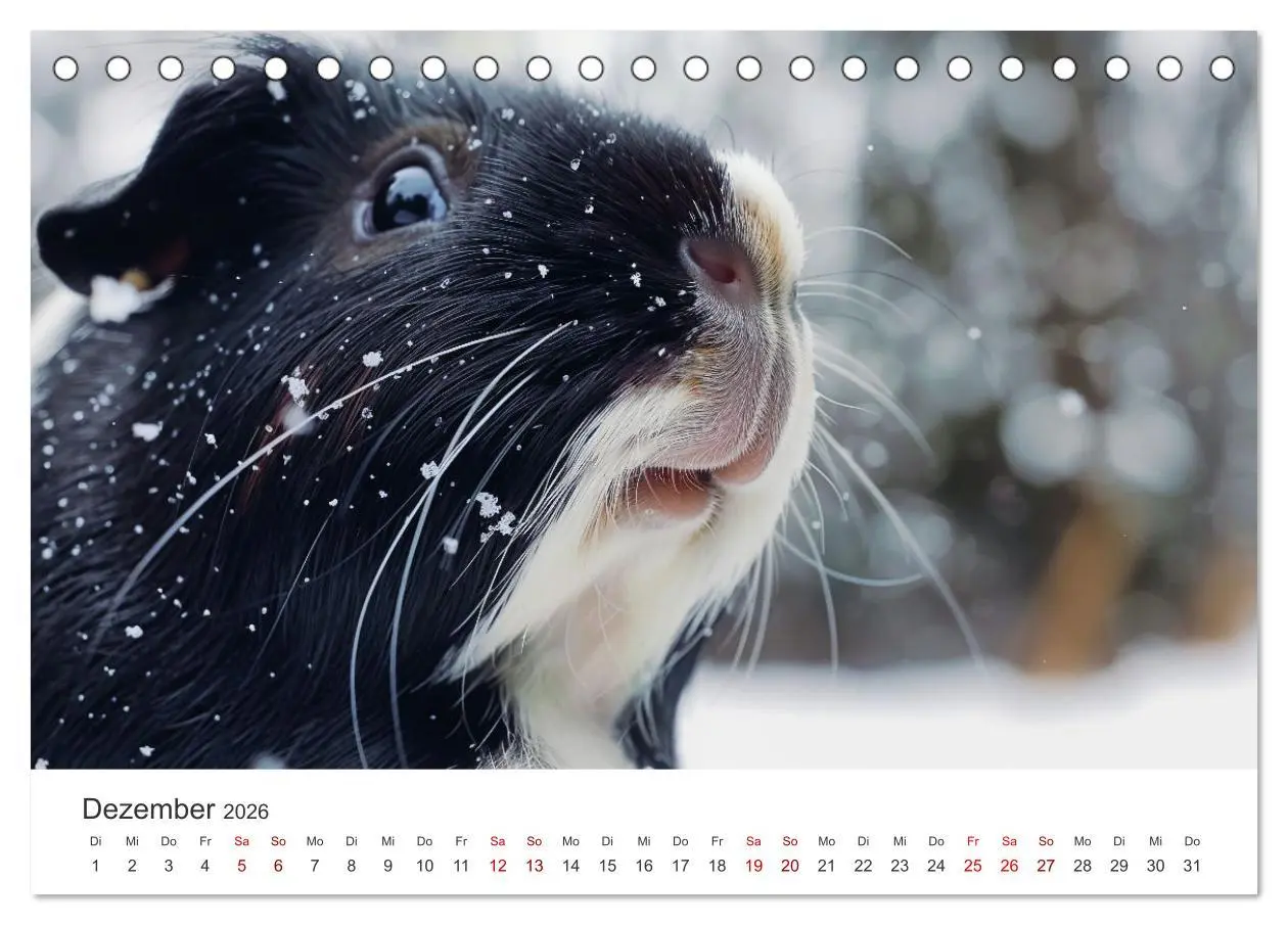 Bild: 9783457424339 | Wuschelbande - Ein Jahr voller Meerschweinchen (Tischkalender 2026...