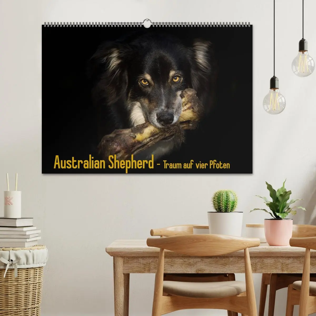 Bild: 9783516134339 | Australian Shepherd - Traum auf vier Pfoten (Wandkalender 2026 DIN...