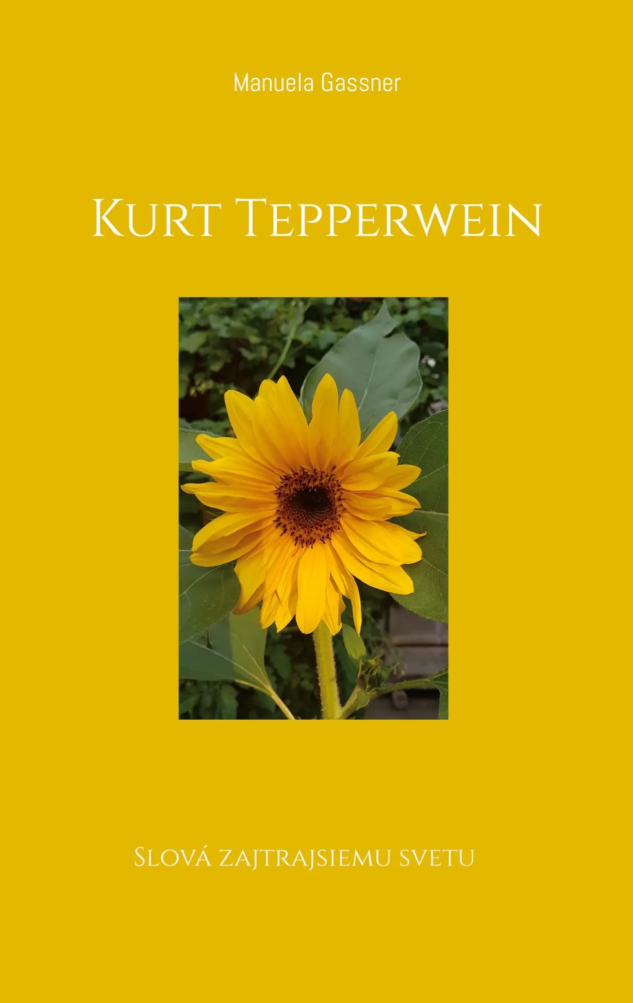 Cover: 9783756874439 | Kurt Tepperwein | Slová zajtrajsiemu svetu | Manuela Gassner | Buch