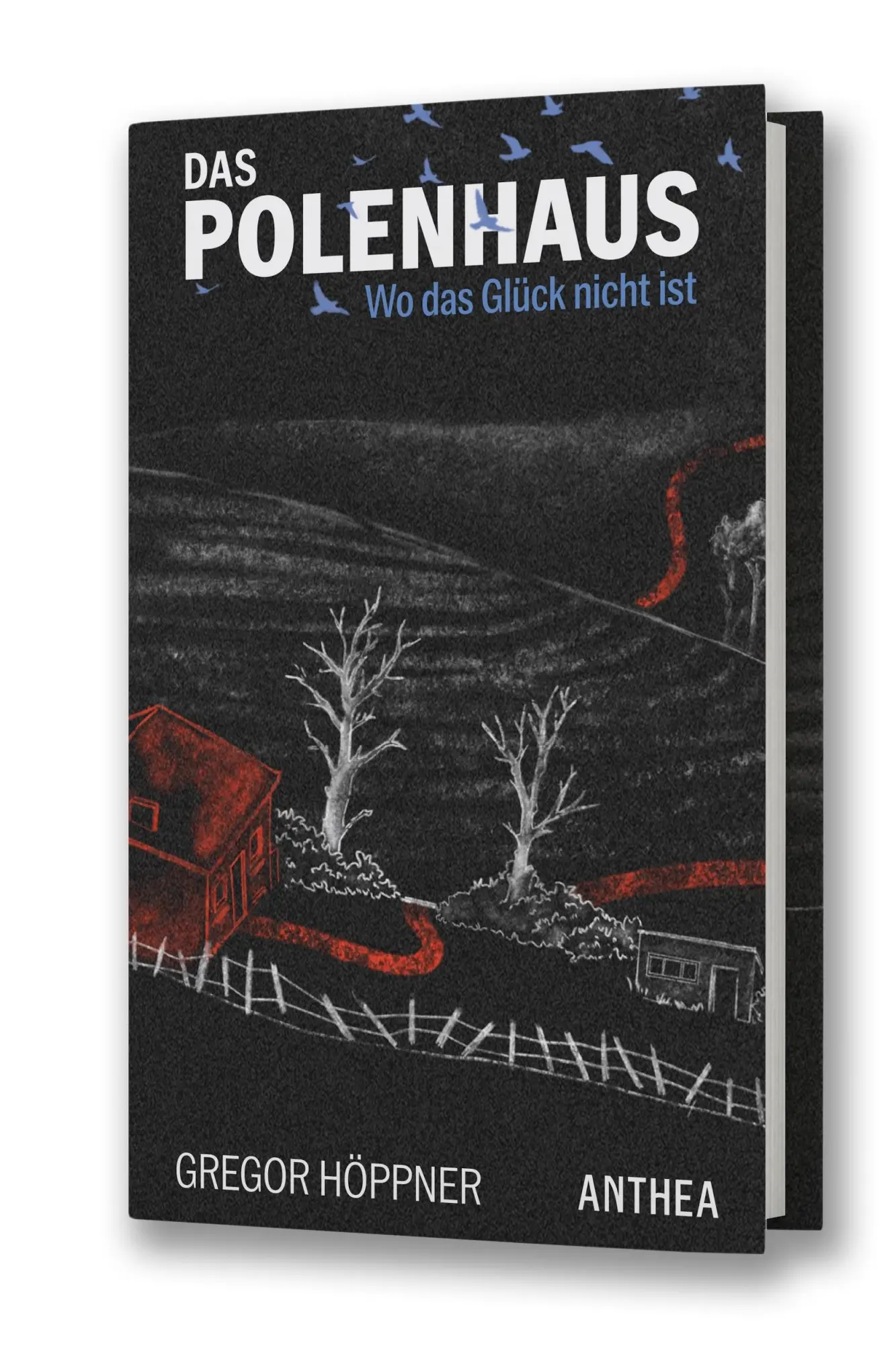Cover: 9783899984439 | Das Polenhaus | Wo das Glück nicht ist | Gregor Höppner | Buch | 2025