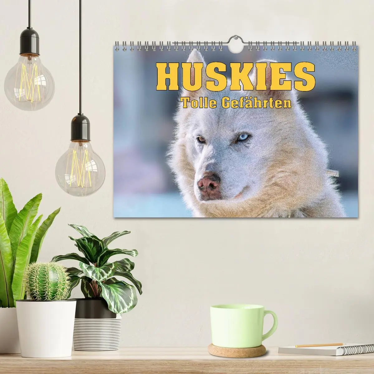 Bild: 9783457714539 | Huskies - Tolle Gefährten (Wandkalender 2026 DIN A4 quer), CALVENDO...