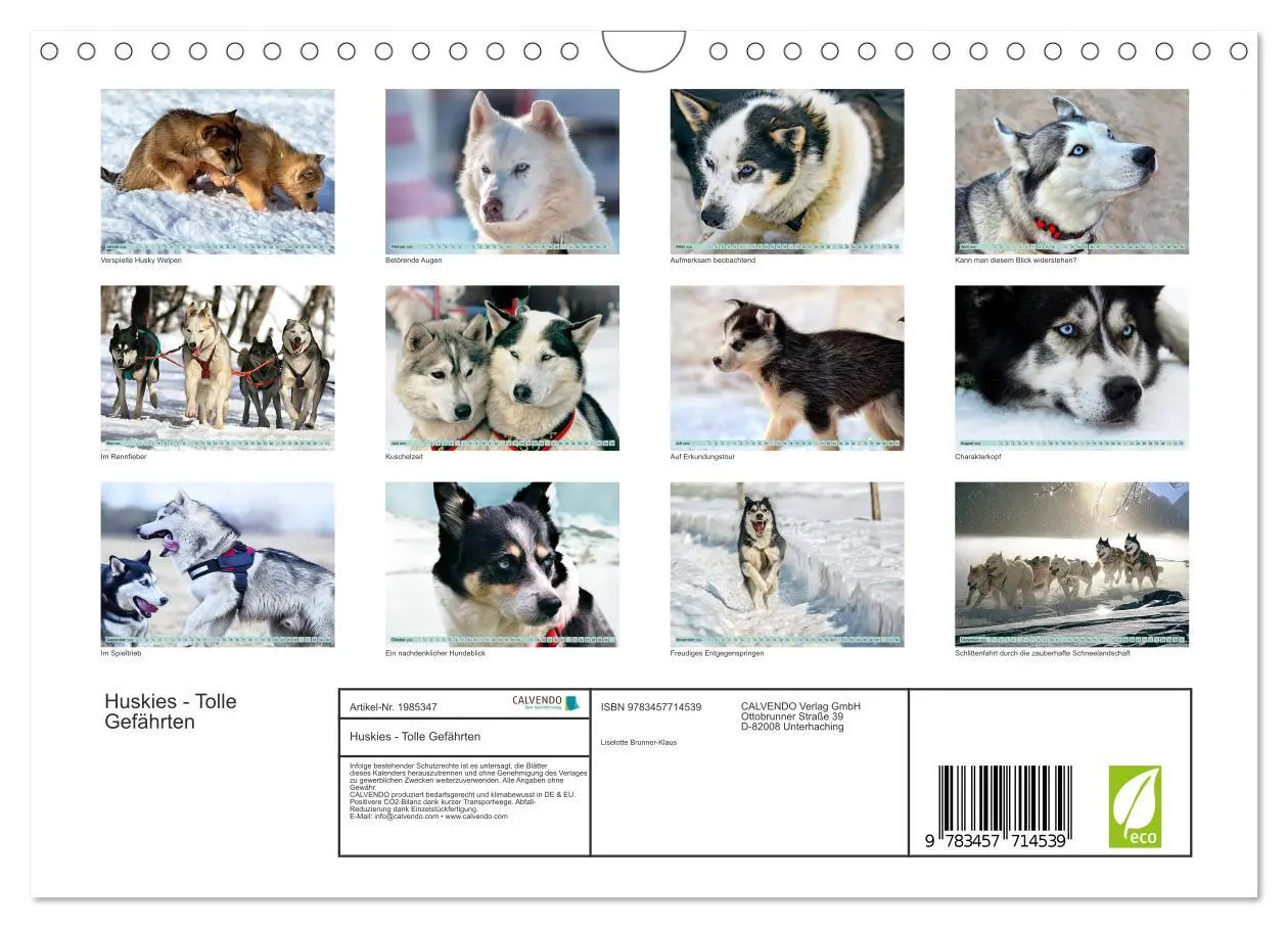 Bild: 9783457714539 | Huskies - Tolle Gefährten (Wandkalender 2026 DIN A4 quer), CALVENDO...