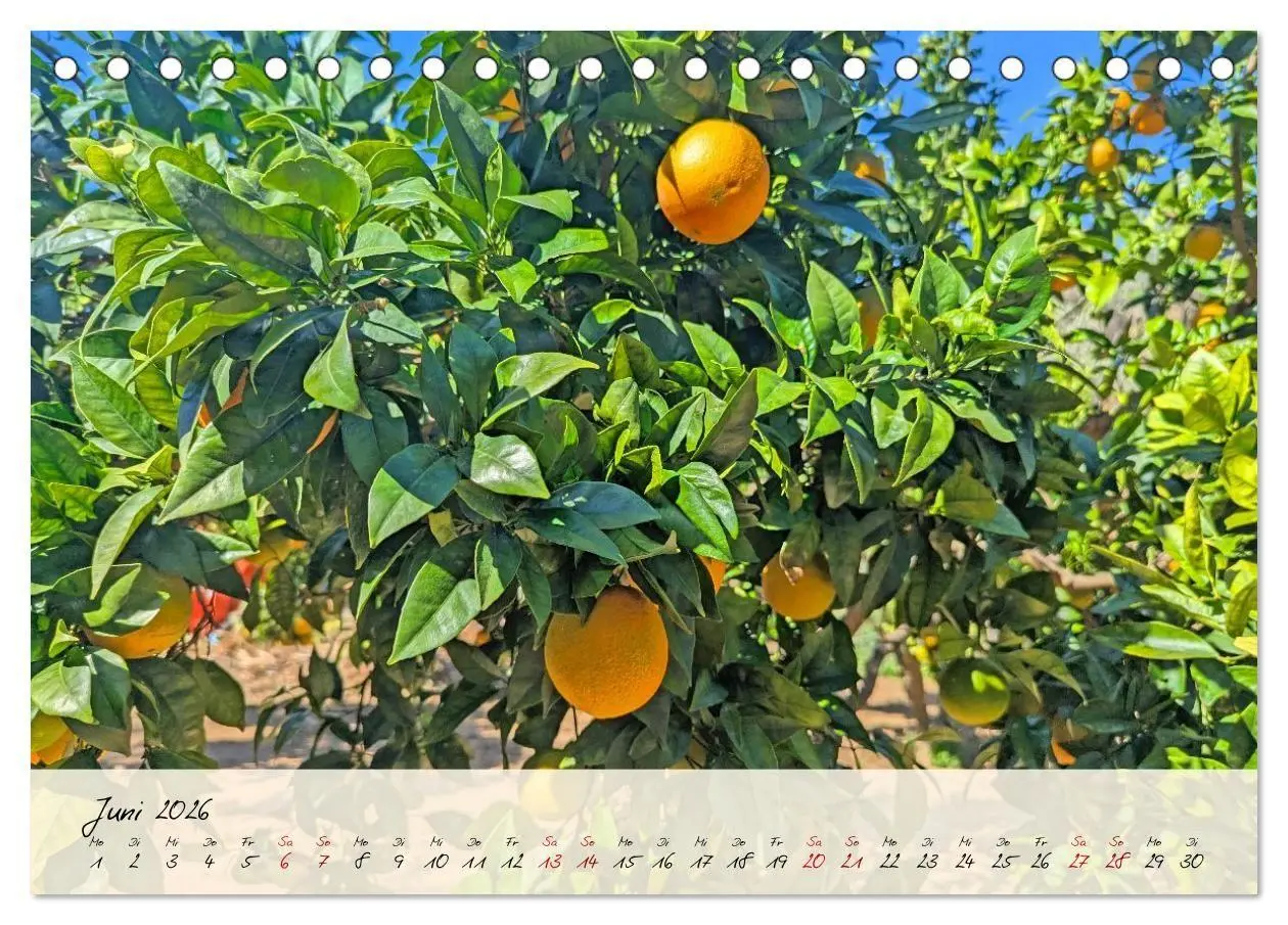 Bild: 9783516734539 | Siziliens Zauber - Von Palermo bis Taormina (Tischkalender 2026 DIN...