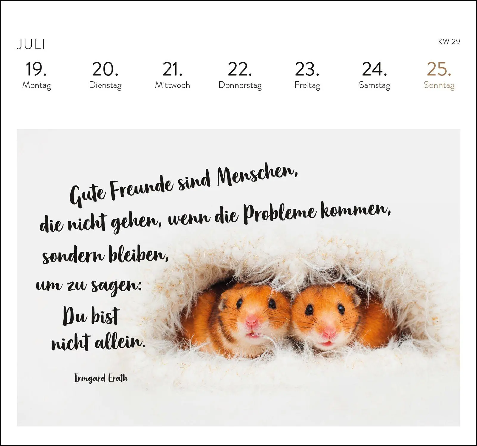 Bild: 4036442014639 | Postkartenkalender 2027: Eine kleine Umarmung für jeden Tag | Verlag