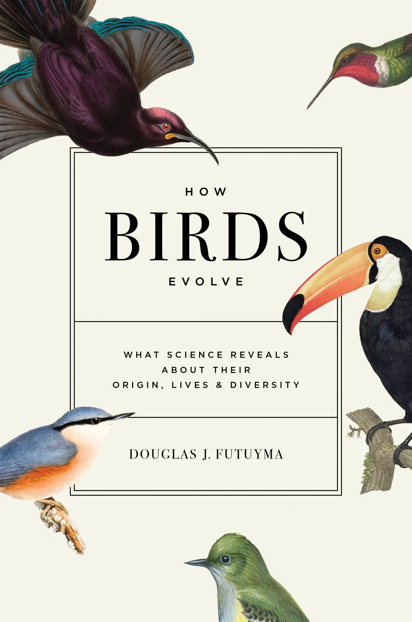 Cover: 9780691264639 | How Birds Evolve | Douglas J Futuyma | Taschenbuch | Englisch | 2024