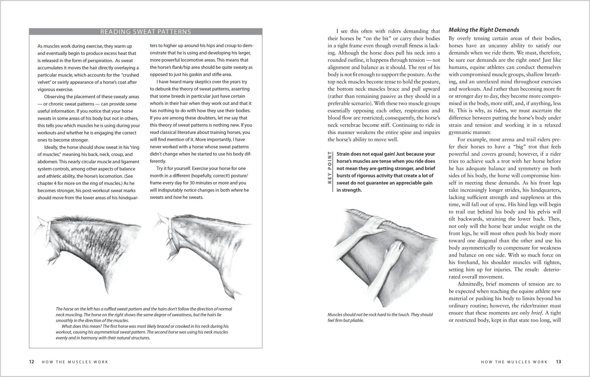 Bild: 9781603424639 | Equine Fitness | A Program of Exercises and Routines for Your Horse