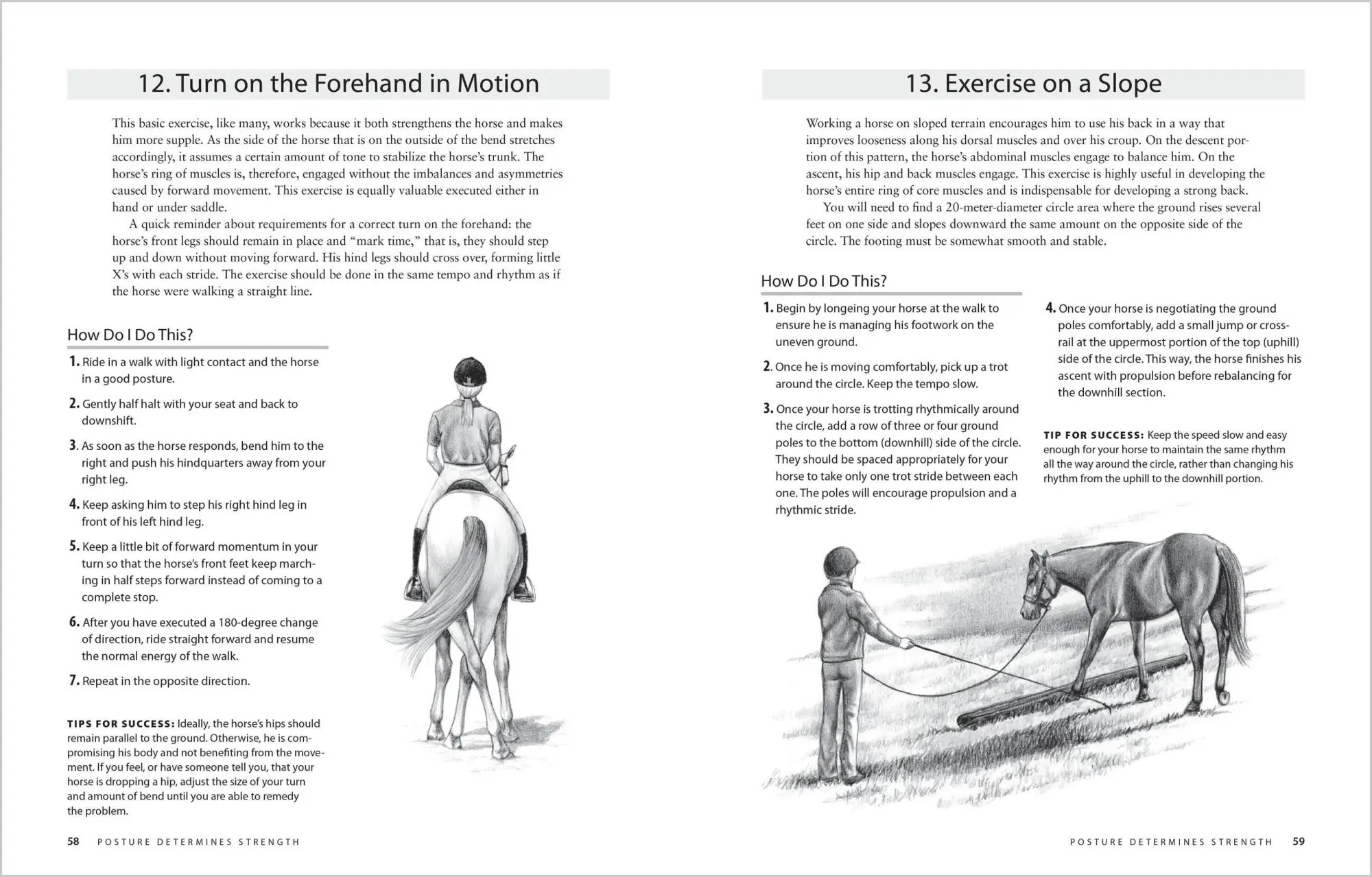 Bild: 9781603424639 | Equine Fitness | A Program of Exercises and Routines for Your Horse