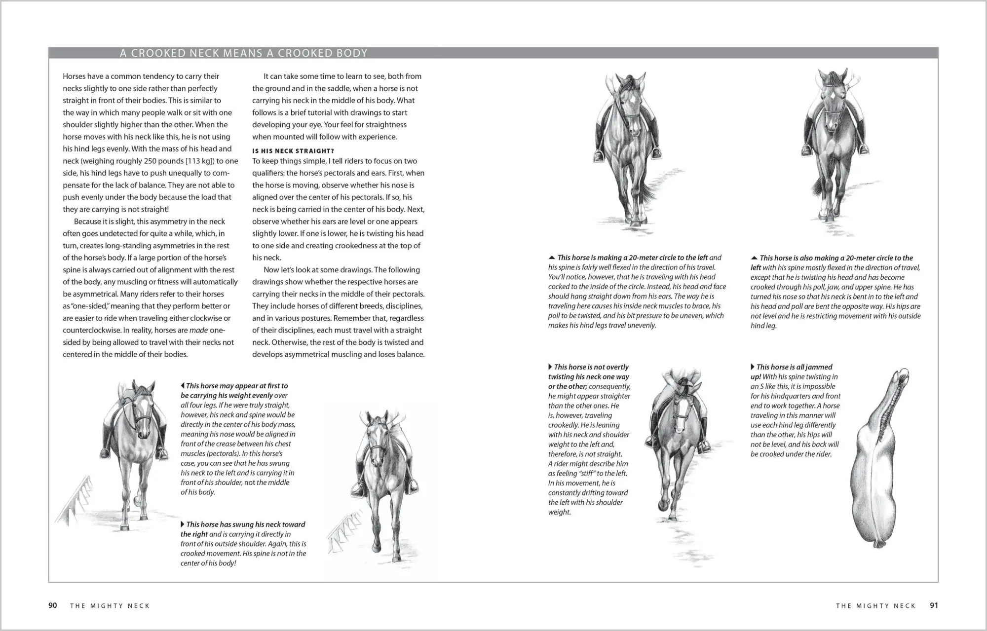Bild: 9781603424639 | Equine Fitness | A Program of Exercises and Routines for Your Horse