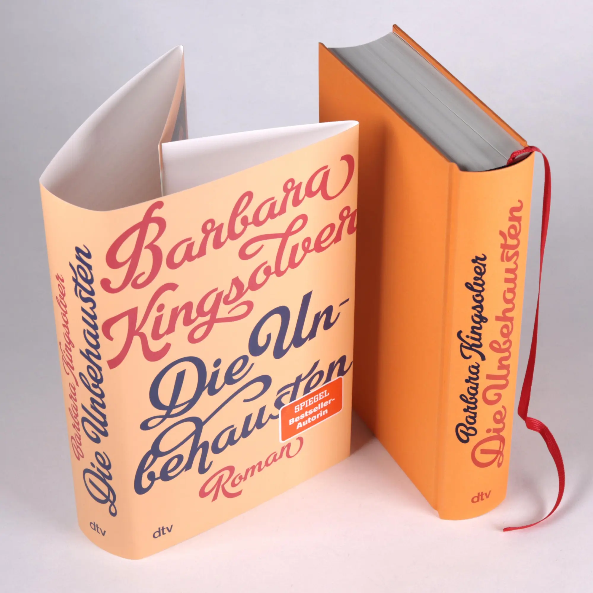 Bild: 9783423284639 | Die Unbehausten | Roman | Barbara Kingsolver | Buch | 624 S. | Deutsch