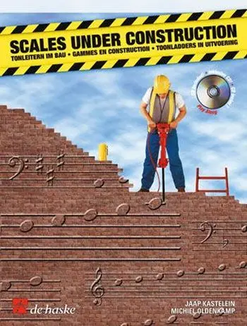 Cover: 9789043114639 | Scales Under Construction | F Horn | Jaap Kastelein | Taschenbuch